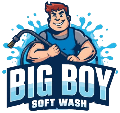 big boy logo